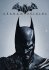 Batman: Arkham Origins (steam)