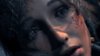 Tomb Raider: Rise of the Tomb Raider (steam)