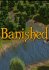 Banished Steam