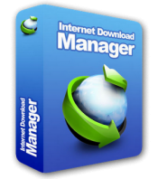 Internet Download Manager 1YEAR 1PC Product Key