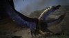 Dragon's Dogma: Dark Arisen Steam